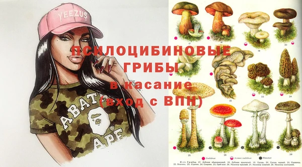 метадон Арсеньев