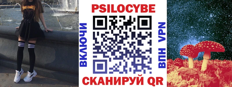 Купить закладки Вязьма Галлюциногенные грибы GOLDEN TEACHER